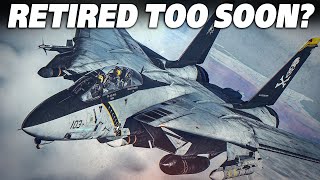 Could The F14 Tomcat Still Be Relevant  F14 Tomcat Vs Su33 FlankerD Intercept  DCS [upl. by Gay]