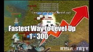 Insanity Flyff  Leveling 1300 Easiest Guide LIVE [upl. by Aneekahs]