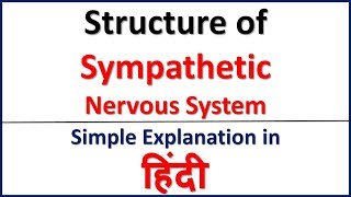 Structure of Sympathetic Nervous System simple explanation in Hindi  Bhushan Science [upl. by Lucie]