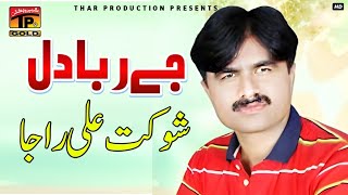 Jey Rabba Dill  Shoukat Ali Raja And Sobia Khan  Latest Punjabi And Saraiki Song [upl. by Bradney]