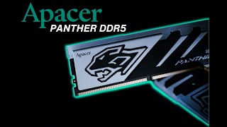 Apacer Panther Series DDR5 RGB Memory Kit  First Look [upl. by Xirtaeb940]