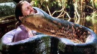 3 scènes qui feront FLIPPER des serpents  Anaconda le prédateur  Extrait VF 🌀 4K [upl. by Autry520]