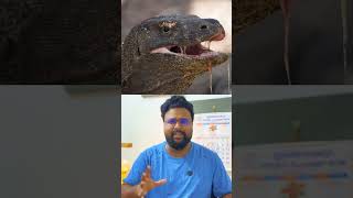 komodo dragons ന്റെ ആരും പറയാത്ത ബാല്യകാലം 🥺😅  komodo dragons  facts  sreelal [upl. by Arol]