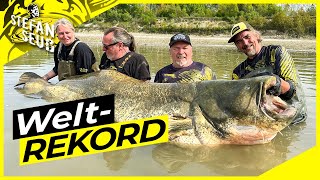 WELTREKORD WELS 281cm  World Record Catfish 923 feet  Der Fisch des Lebens [upl. by Nawd206]