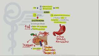 RM 2023 Gastroenterología 21 Mapas mentales úlcera péptica helicobacter gastritis HDA HDB [upl. by Caassi223]