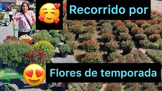 Recorrido por flores de temporada 😘✅ [upl. by Torto]