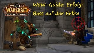 WoWGuide Erfolg Boss auf der Erbse [upl. by Richie]