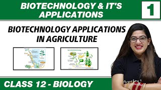 Biotechnology amp Its Application 01  Biotechnology Application in Agriculture  Class 12 NCERT [upl. by Fira]