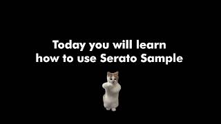 Today you will learn how to use Serato Sample 20 [upl. by Eletnahc]