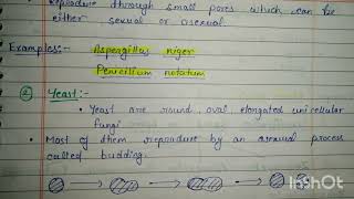 Morphological Classification of FUNGIMsc and bsc botany notes botanynotes biology [upl. by Naimad]