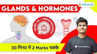 Glands amp Hormones in Human Body  Hormones amp Glands Explained by Neeraj Jangid [upl. by Rann]