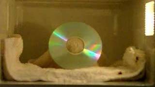 THE BEST CD In Microwave [upl. by Enytnoel]