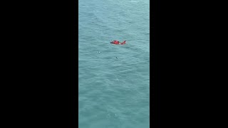 Man Survives Milton Clinging To A Cooler In The Gulf [upl. by Gilbert845]