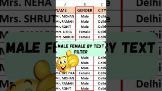 Male Female by Text Filter in Excel  shortcutkeys excel tipsandtricks shorts youtubeshorts [upl. by Anaitit731]