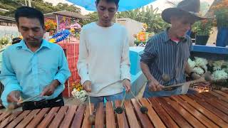 Marimba San Juanito de Jacaltenango [upl. by Onitsuaf]