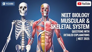 NEET Biology Muscular amp Skeletal System 10 Key Questions with Detailed Explanations  NEET 2025 [upl. by Porta605]