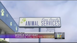 Tuesday is World Spay Day [upl. by Haisi893]