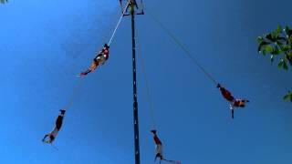 Los Voladores Papantla Mexico [upl. by Nnaecarg]