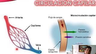 Soluciones Parenterales  Generalidades de los Coloides [upl. by O'Reilly]