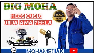 BIG MOHA GUUSHA WA HALEELA  OFFICIAL VIDEO 2024 [upl. by Fiertz]