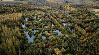 Michiel Pilaar en Robin Bulters op bezoek bij het Belgische CarpInsula [upl. by Yensehc517]