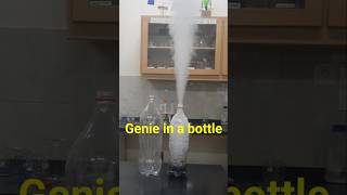 Genie in a bottle science shorts chemistry science experiment scienceexperiment [upl. by Llemij484]