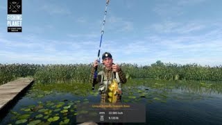 FishingPlanet  Everglades  Unique Butterfly Peacock Bass [upl. by Socrates]