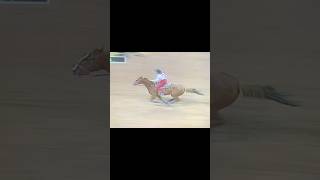 Barrel Racing  shorts cowboy horse barrelhorse barrelracing barrelracer fypviral fyp nfr [upl. by Eiffub]