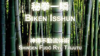 Shinden Fudō Ryū Taijutu 神傳不動流体術 [upl. by Iaverne491]