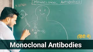 Monoclonal antibodies part 1  Immunology [upl. by Ais]