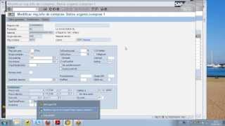 DEMO Curso SAP MM Funcionalidad de Registros Info VIDEO1 [upl. by Magdalena]