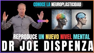 CONOCE LA NEUROPLASTICIDAD Y CREA UN NUEVO NIVEL MENTAL JOE DISPENZA EN ESPAÑOL [upl. by Micco]