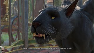 BG3 Baldurs Gate 3 Circus of the Last Days ShadowWhiskers the Displacer Beast [upl. by Honora]