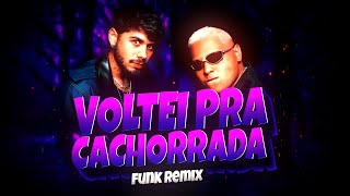 BEAT VOLTEI PRA CACHORRADA  Zé Felipe e MC Ryan FUNK REMIX Djay L Beats [upl. by Mackoff]