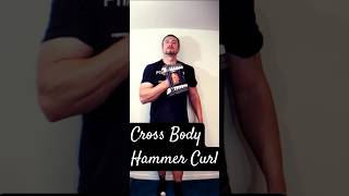 Biceps Exercise at Home  Cross Body Hammer Curl biceps armworkout [upl. by Elspeth]