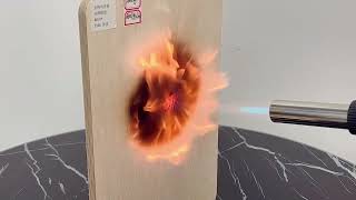 OSB Board VS Plywood Fire test [upl. by Finer]