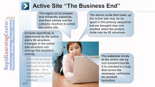 Rapid Learning Enzymes and Cellular Metabolism  What are Enzymes [upl. by Ias]
