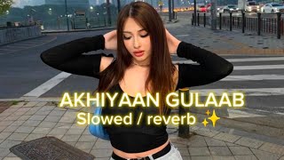 Akhiyaan Gulaab Slowed  reverb lofi song ✨ [upl. by Htebazileyram]