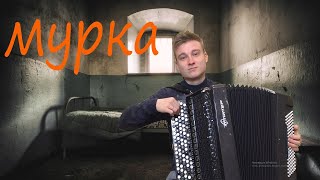 МУРКА НА БАЯНЕ [upl. by Anes]