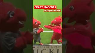 Leyton Orient Mascots Are CRAZY [upl. by Ahsa]