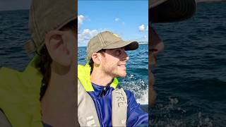 Le balene parlano balena whale whalewatching documentary azores portugal travel animals [upl. by Idok]