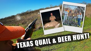 TEXAS QUAIL AND DEER HUNT [upl. by Vivyan]