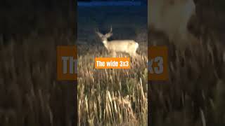 The wide 3x3 yt ytshorts deer hunting 2024 wildlife 3x3 reels wow ytviral subscribe [upl. by Schechter]