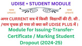 Module for Issuing Transfer Certificate on Udise portal  Marking Student Dropout 2024 25  tc nso [upl. by Ibok]