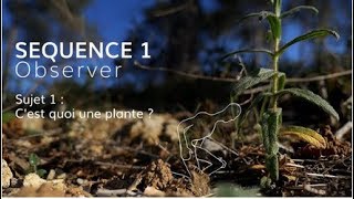 Séquence 1 sujet 1  C’est quoi une plante [upl. by Vorfeld]