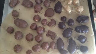 No Bake Peanut Bonbons  A Classic Foolproof Holiday Treat from bakeyourwaykitchen [upl. by Koorb728]