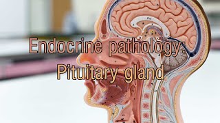 Endocrine pathology Pituitary gland [upl. by Troth449]