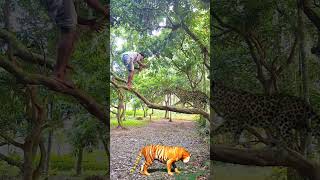 Tiger 🐆 attack Me in My Village vfx Funny vfx​ videos​ shorts​ viralvfx​ cheetah​ tiger​ [upl. by Ahsiyn]