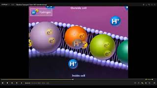 L39 OXIDATIVE PHOSPHORYLATION [upl. by Naawaj403]