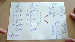 La ciclacion de una molecula de glucosa paso a paso [upl. by Enellek]